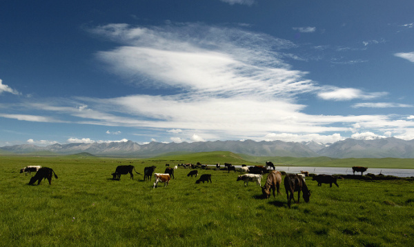 青藏高原不仅仅是亚洲的“水塔”